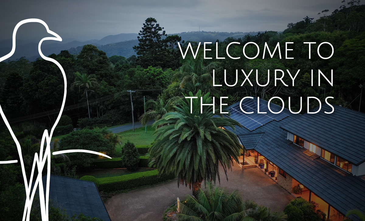 mountsancbnb-tagline-1200x729 Mountain Sanctuary Bnb Thumbnail