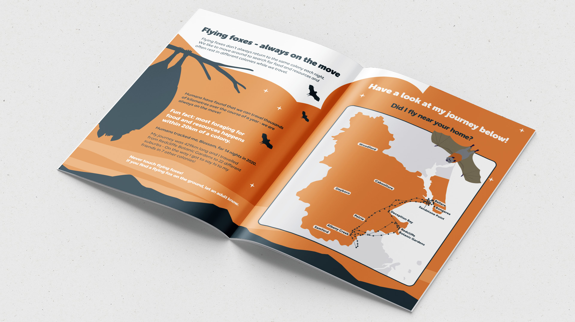 City of Moreton Bay Flying Fox Activity Book